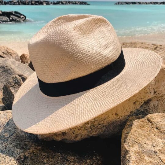 White Fedora with blacktrim