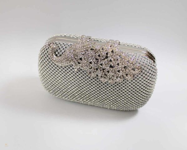 hardcase silver crystal clutch