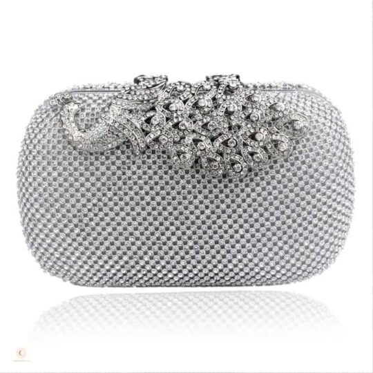 hard case crystal elegant clutch