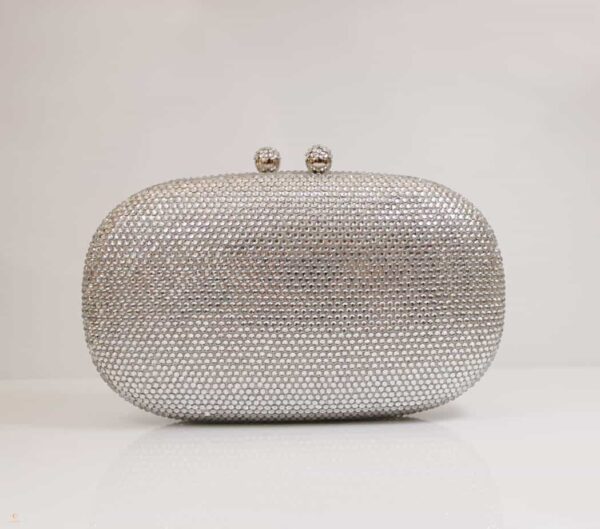 hard case evening clutch silver crystals