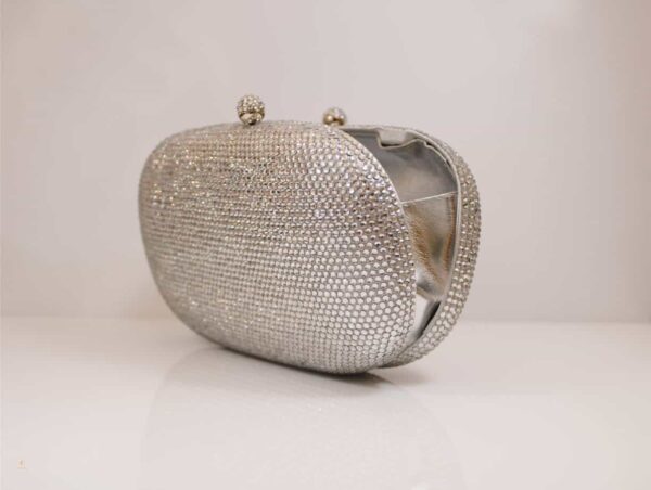 Silver hard case evening clutch purse