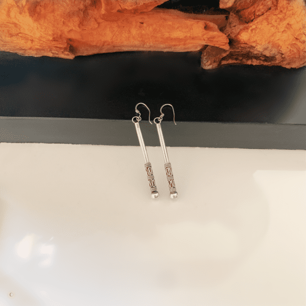 Long Silver Earrings elegant and long