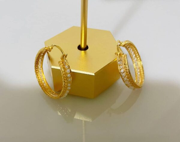 Luxurious gold hoop earrings adorned with sparkling stones, perfect for stylish women seeking elegant jewellery. Ideal for special occasions or everyday wear.